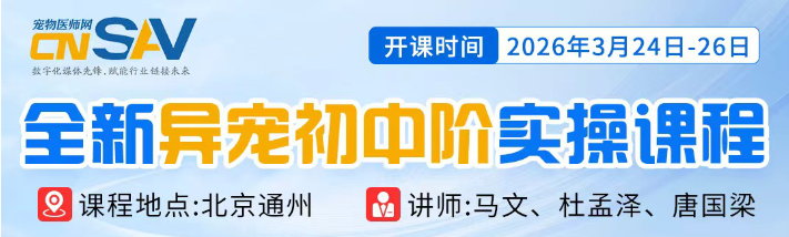 8d8e1ca8-b72e-4367-8d74-b4982b68be9a.png