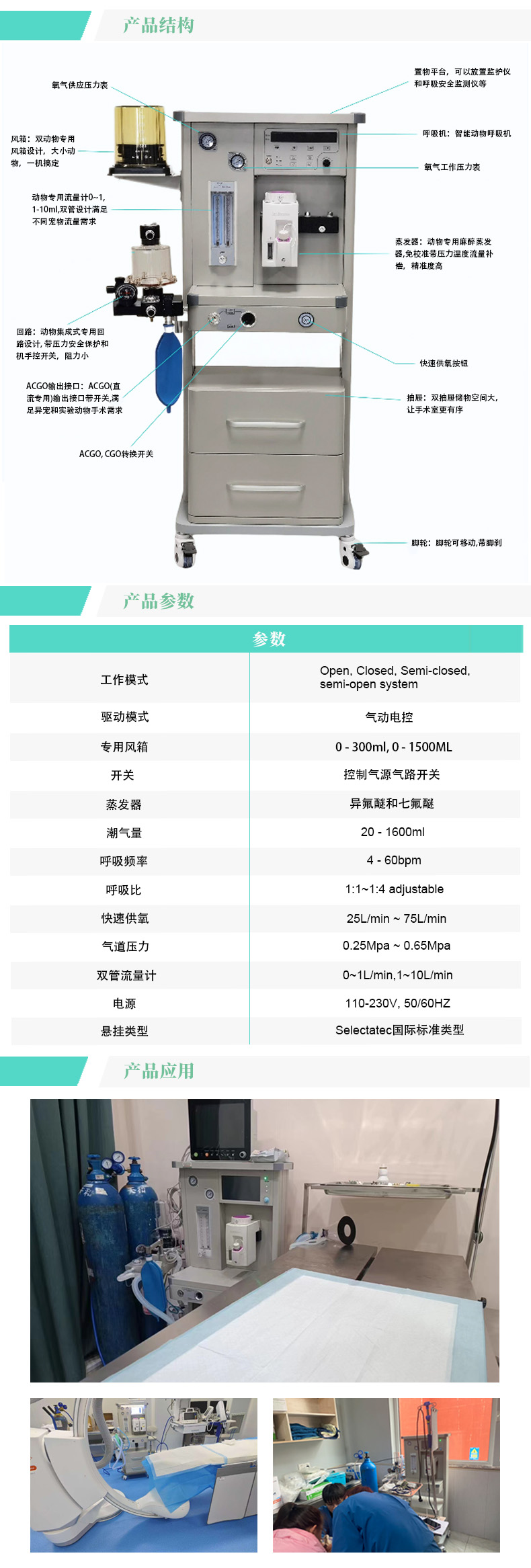 produce-2(中).jpg