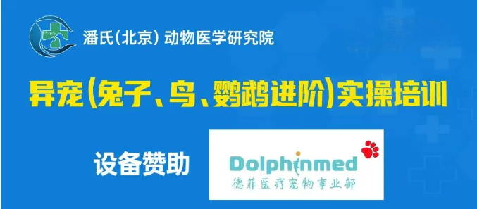 德菲医疗异宠麻醉机助力潘氏异宠（兔子、鸟、鹦鹉进阶）实操培训